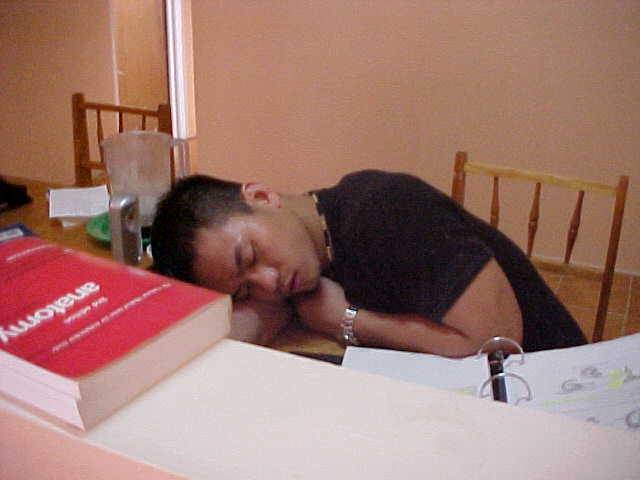 Bao hard at work