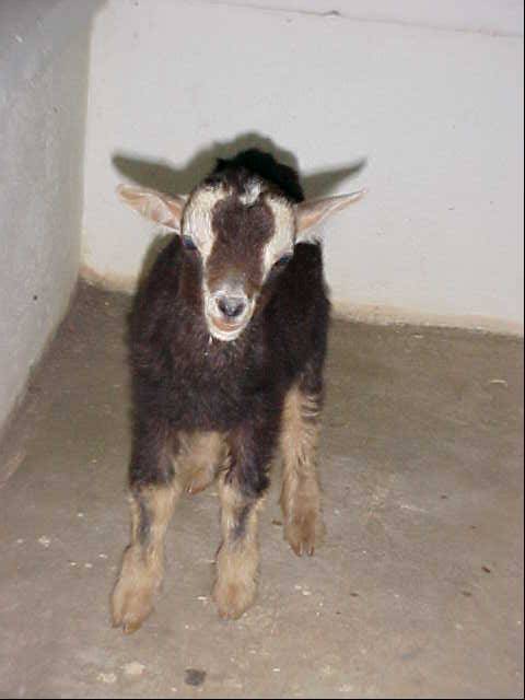 "I know I'm cute"