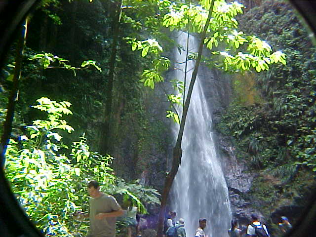 Syndicate Falls!!!!! 