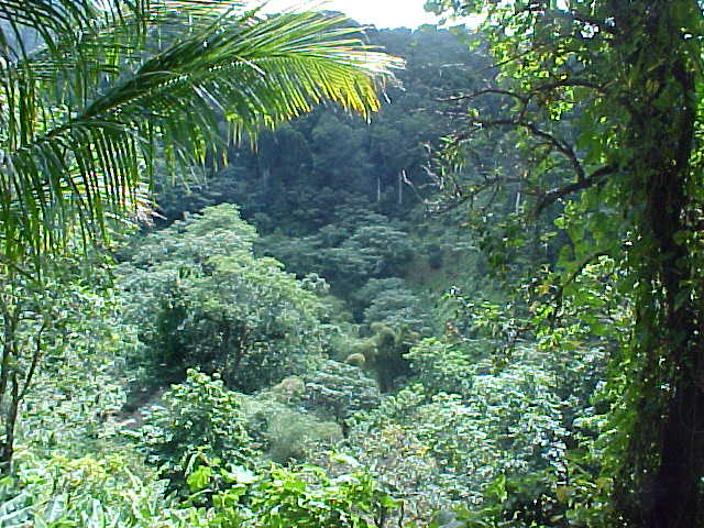 A breathtaking view off the trail to the falls.