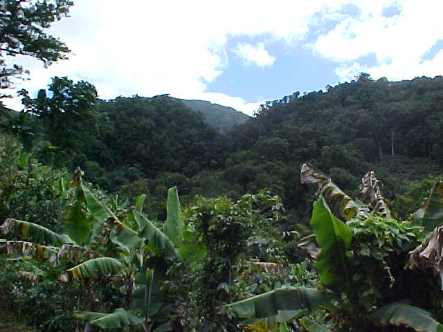 Another view from the trail.
