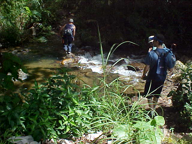 The trail criss crossed the river a few times.