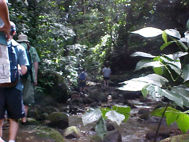 More of the hike to Syndicate.