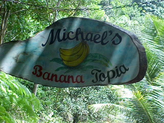 The hike is through an abandoned banana plantation