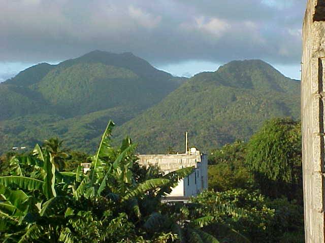 Looking left off my front porch.