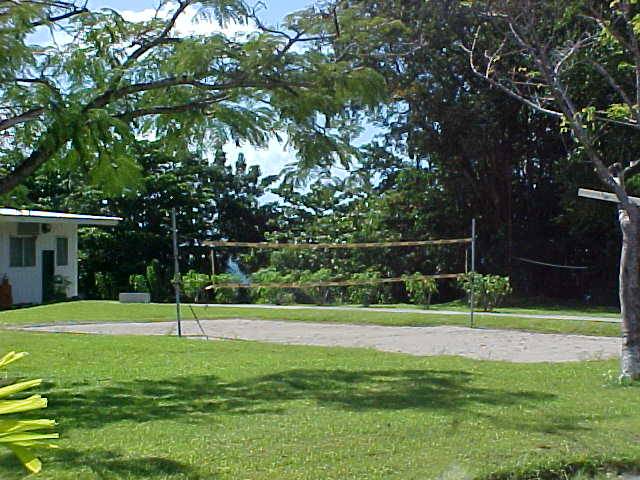 The volleyball court
